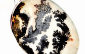 Is Rarity expensive? NO, See top ten Scenic Dendritic Agate available nearly free of cost