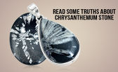 Read Some Truths About Chrysanthemum Stone