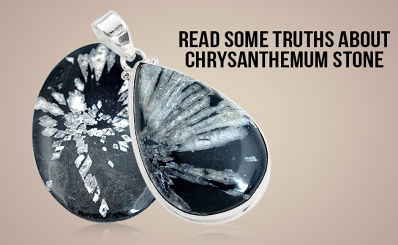 Read Some Truths About Chrysanthemum Stone