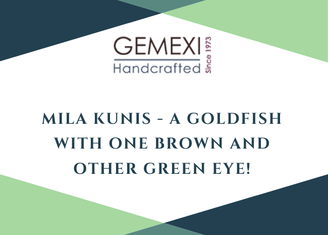 Mila Kunis - A Goldfish with one Brown and Other Green Eye!