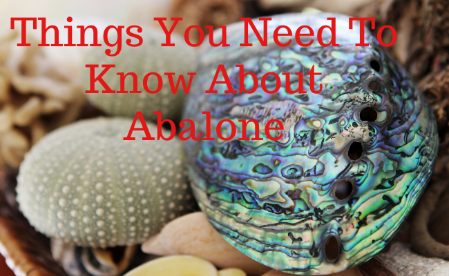 Things You Need To Know About Abalone