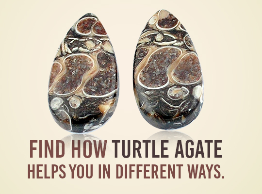 Find How Turtle Agate Helps You In Different Ways