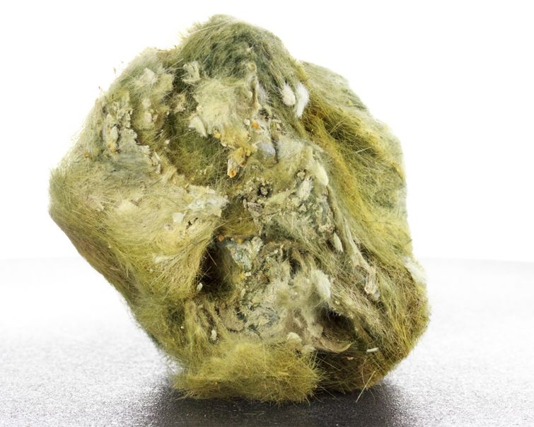 green hairy byssolite