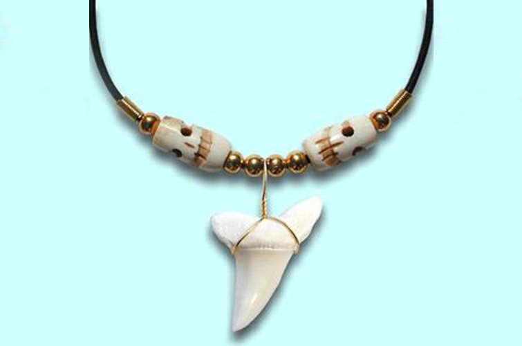 shark tooth