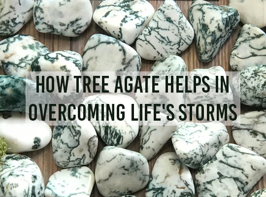 How Tree Agate Helps In Overcoming Life's Storms