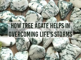 How Tree Agate Helps In Overcoming Life's Storms