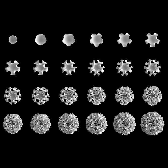 3d floraform edge based growth