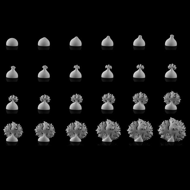 3d floraform faciated