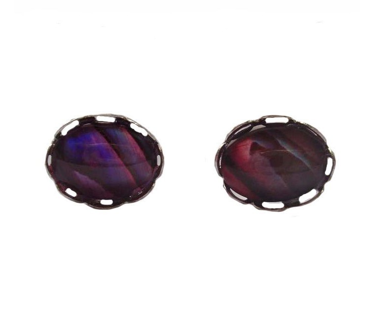 Abalone stud earrings