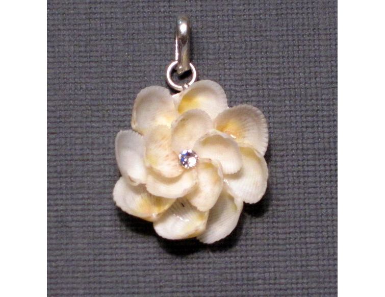 seashell pendant