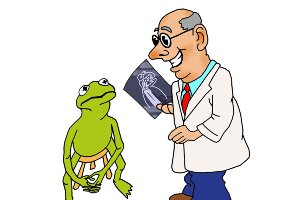 Difficulty in Absorption of nutrients trust the 7...