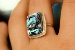 Don’t Miss Out on This Checklist Before You Buy Abalone