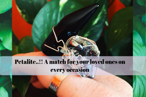 Petalite..!! A Match For Your Loved Ones On Every Occasion