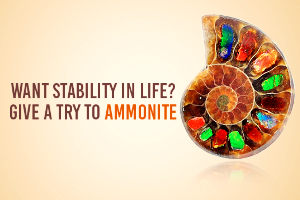 ammonite healing properties