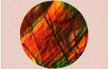 Ammonite, a Stone of Wealth