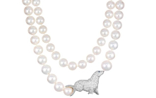 Delicacy of Pearls in the World of Jewels