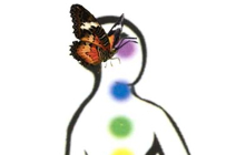Discover some potent gemstones that turn on the body chakras.