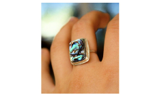 Don’t Miss Out on This Checklist Before You Buy Abalone