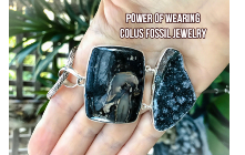 Power Of Wearing Colus Fossil Jewelry