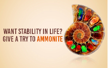 Want Stability In Life ? Give A Try To Ammonite