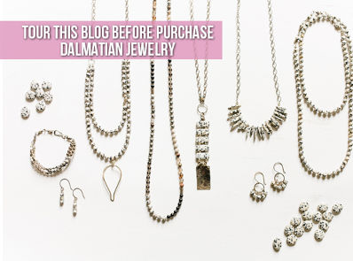 Tour This Blog Before You Purchase Dalmatian Jewelry