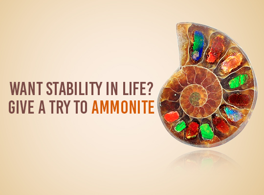 Want Stability In Life ? Give A Try To Ammonite