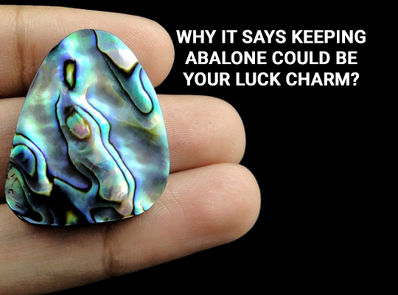 Why It Says Keeping Abalone Could be Your Luck Charm?
