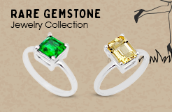 Wild Horse Gemstone Jewelry