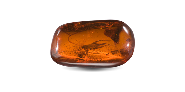 Amber helps in self-expression, creativity as well as mental cleansing.