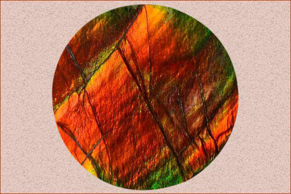 ammonite properties ammonite properties