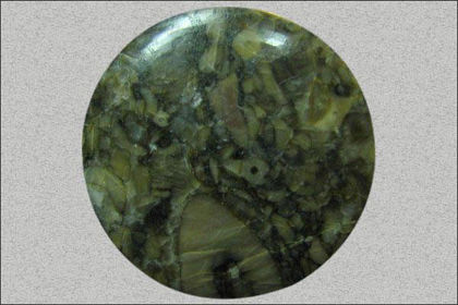 Crinoid Fossil
