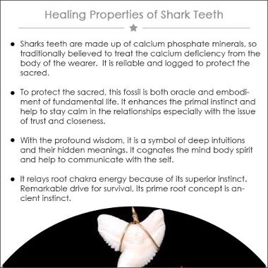SHARK TEETH
