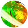 Ammolite