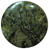 Crinoid Fossil