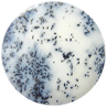 Dendritic Opal