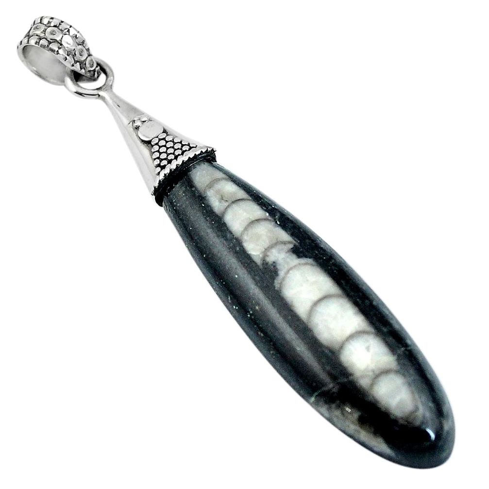 19.18cts natural black orthoceras 925 sterling silver pendant jewelry d26977