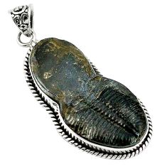 Natural black trilobite 925 sterling silver pendant jewelry d27039