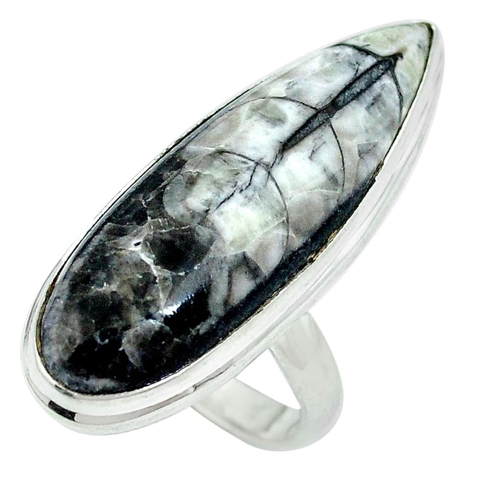 Natural grey orthoceras 925 sterling silver ring jewelry size 7 d27360