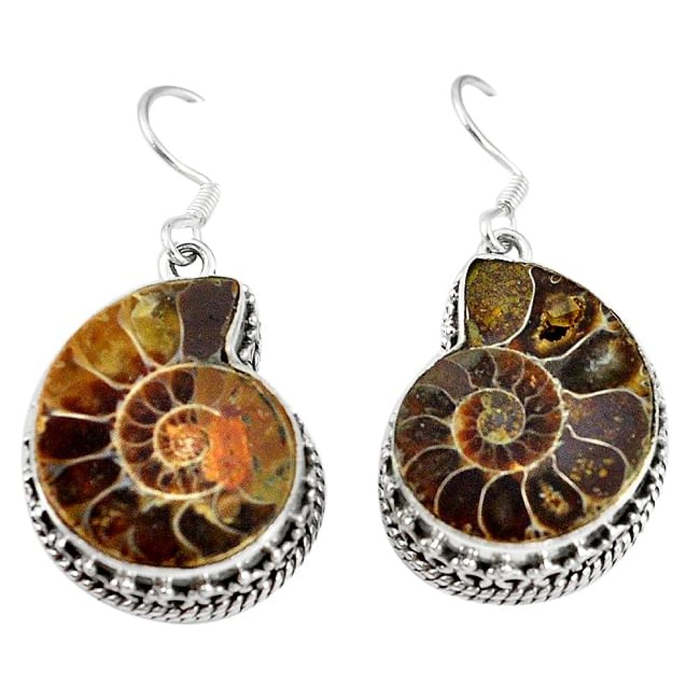 925 silver natural brown ammonite fossil dangle earrings jewelry k84354