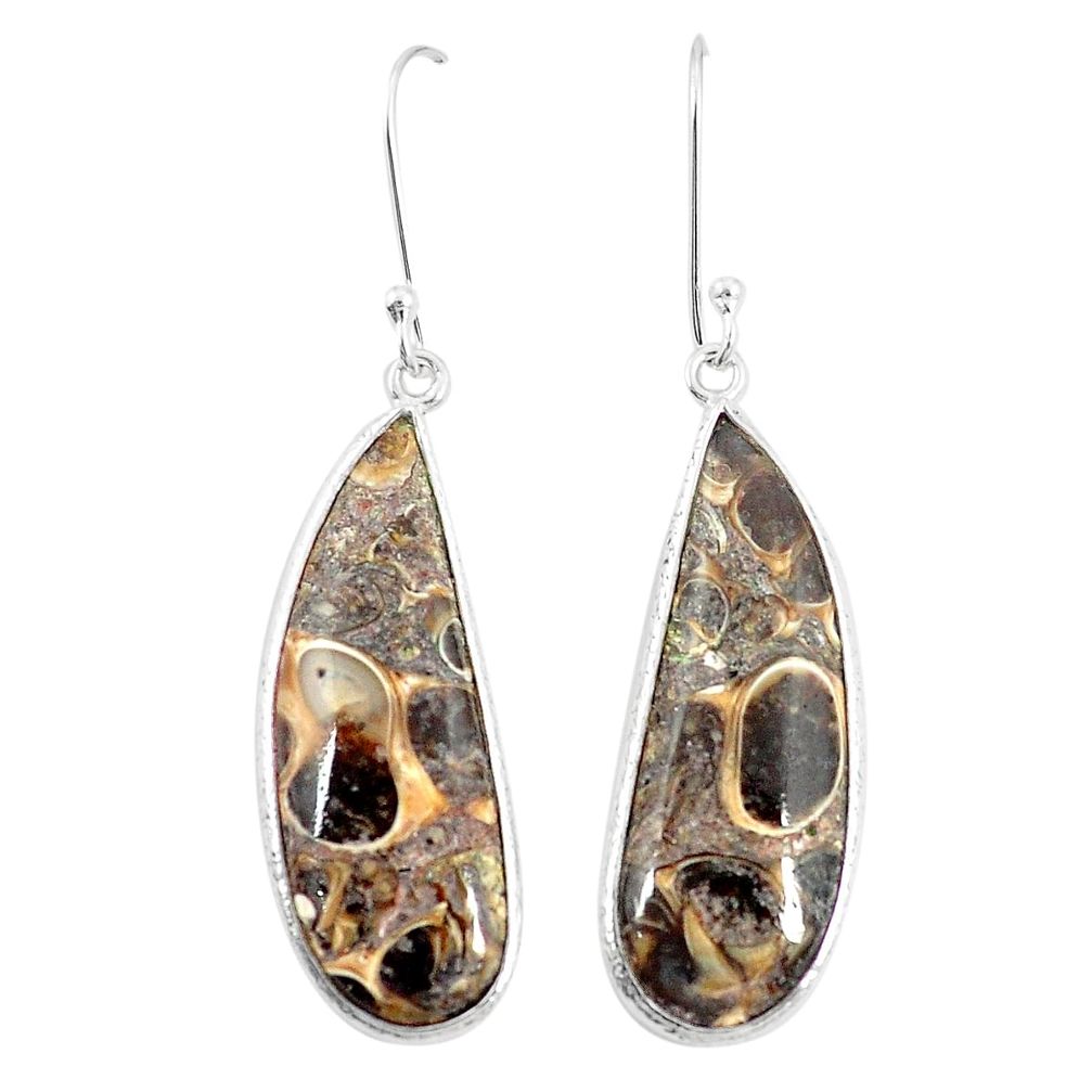 Natural brown turritella fossil snail agate 925 silver dangle earrings m36562