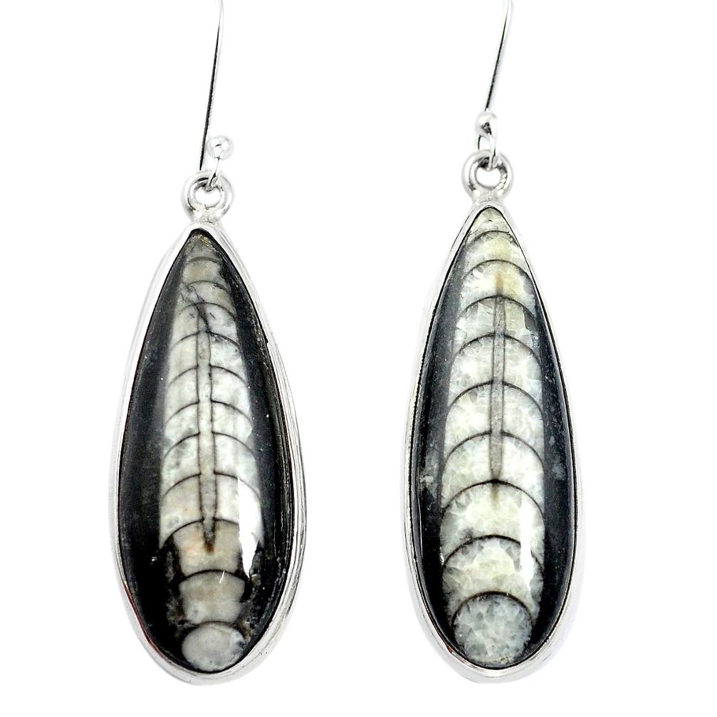 Natural black orthoceras 925 sterling silver dangle earrings jewelry m47563