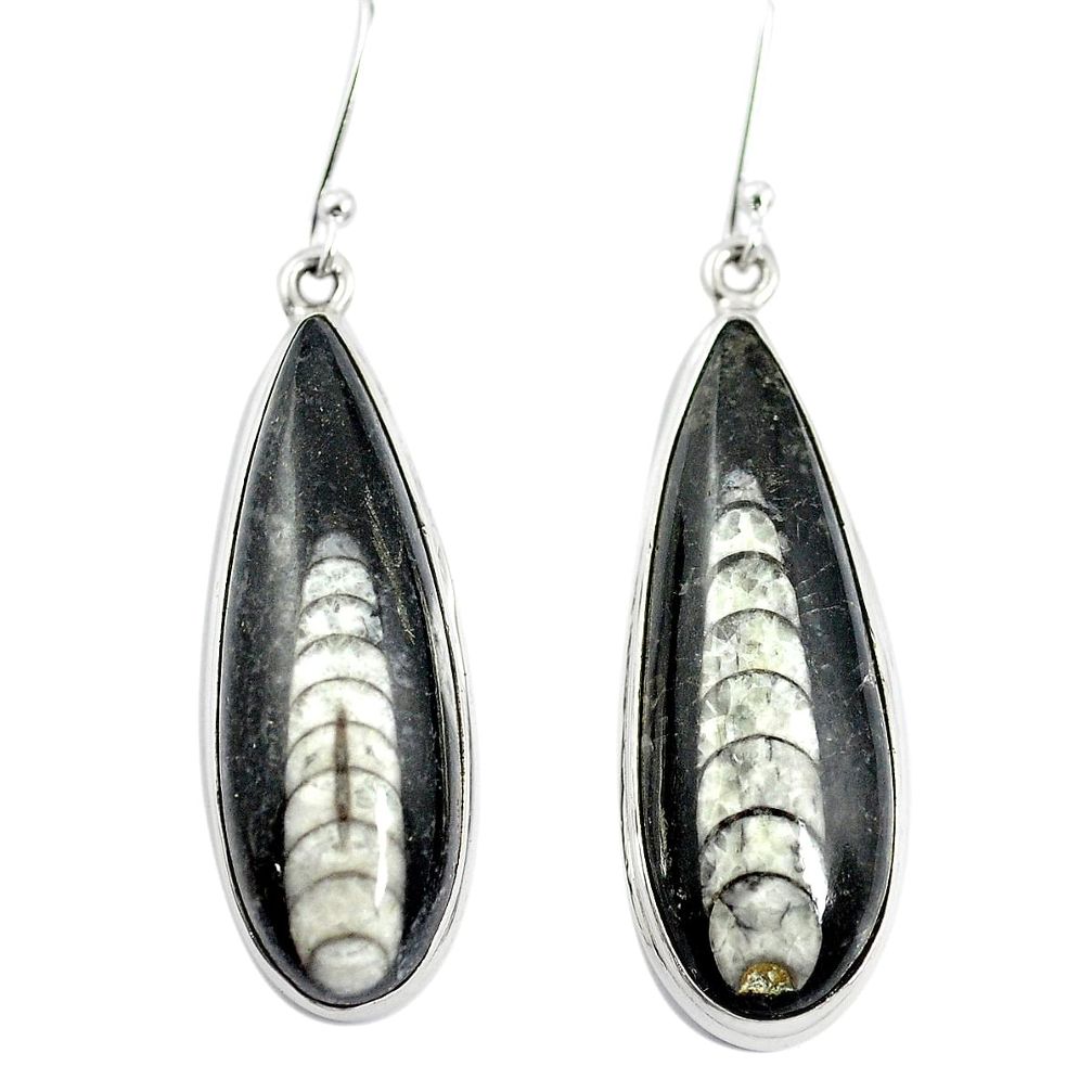 Natural black orthoceras 925 sterling silver dangle earrings m47564