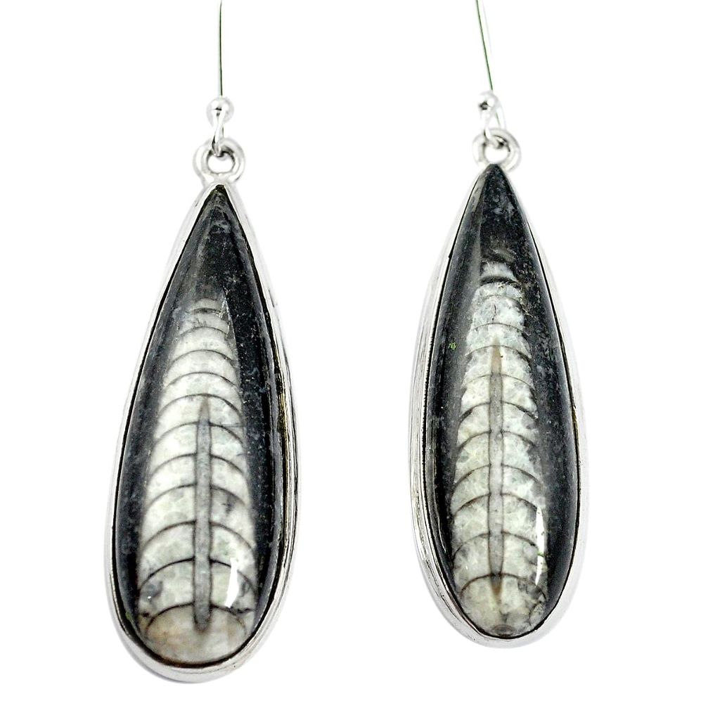 Natural black orthoceras 925 sterling silver dangle earrings m47570