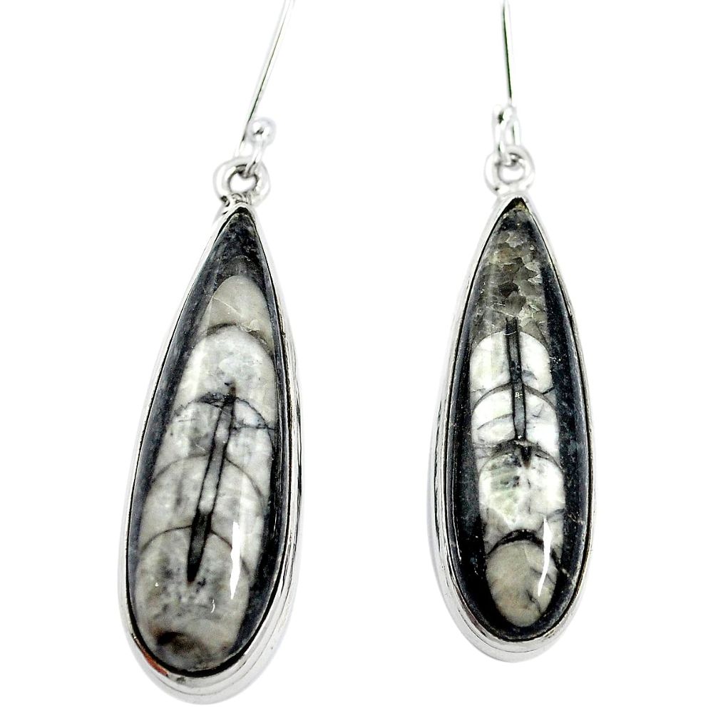 Natural black orthoceras 925 sterling silver dangle earrings m47572