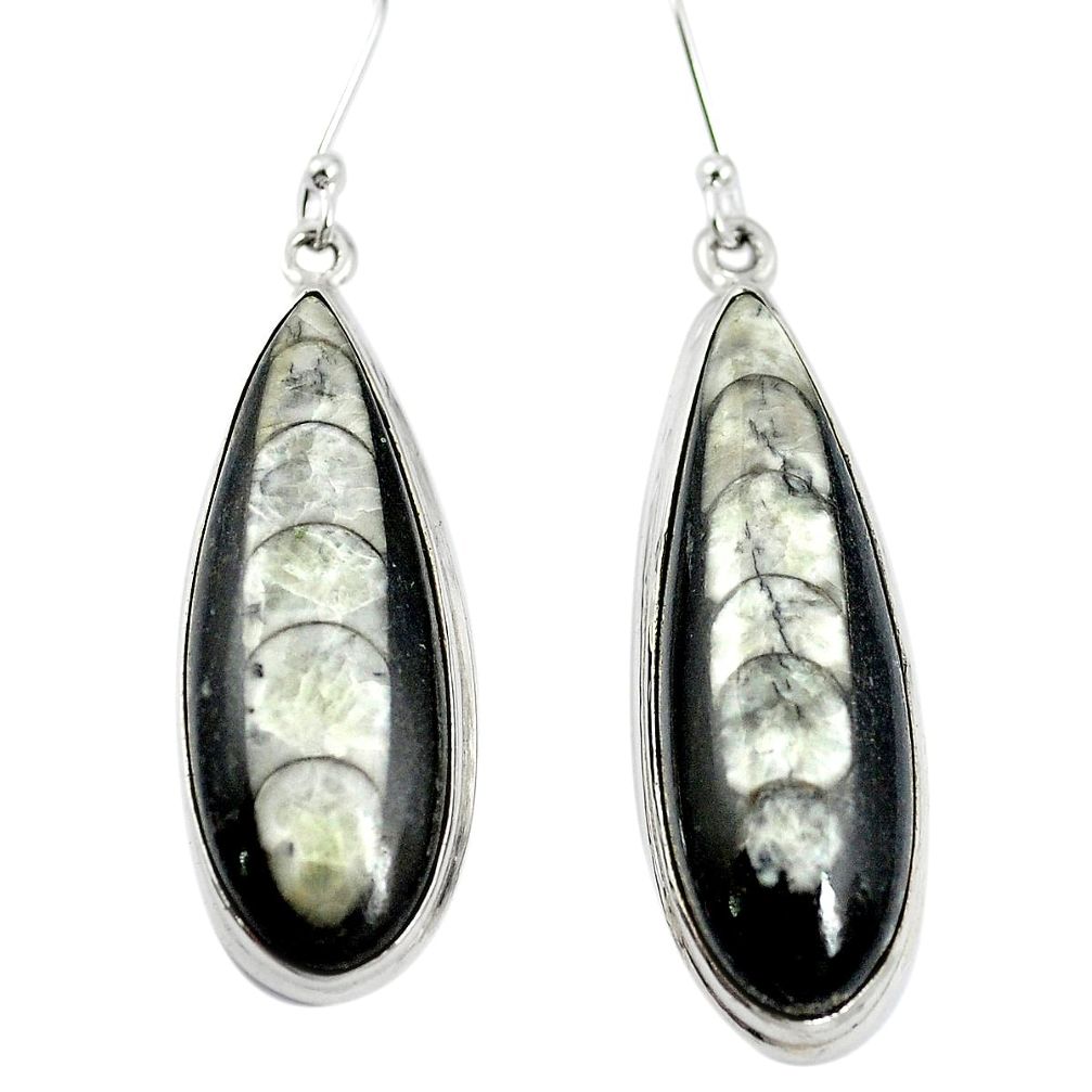 Natural black orthoceras 925 sterling silver dangle earrings m47574