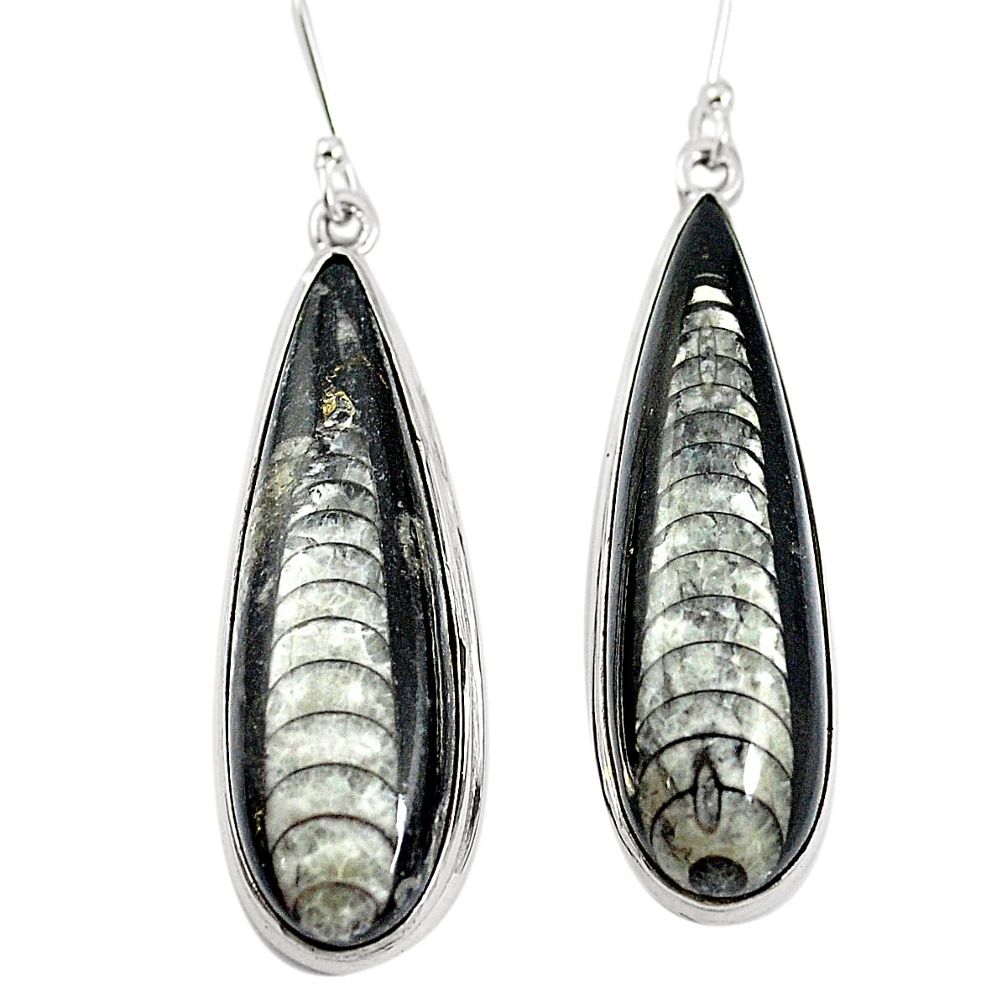 Natural black orthoceras 925 sterling silver dangle earrings m47575