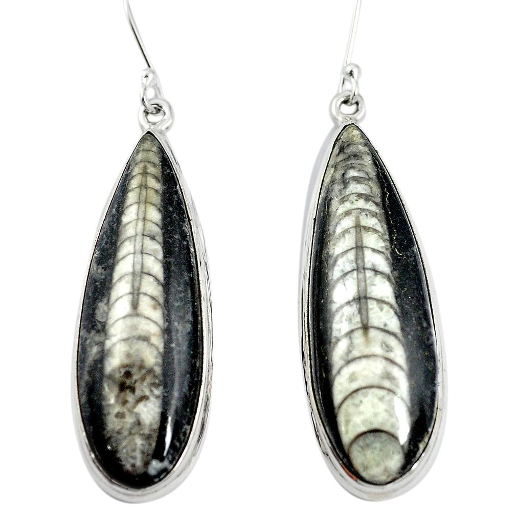 Natural black orthoceras 925 sterling silver dangle earrings m47578