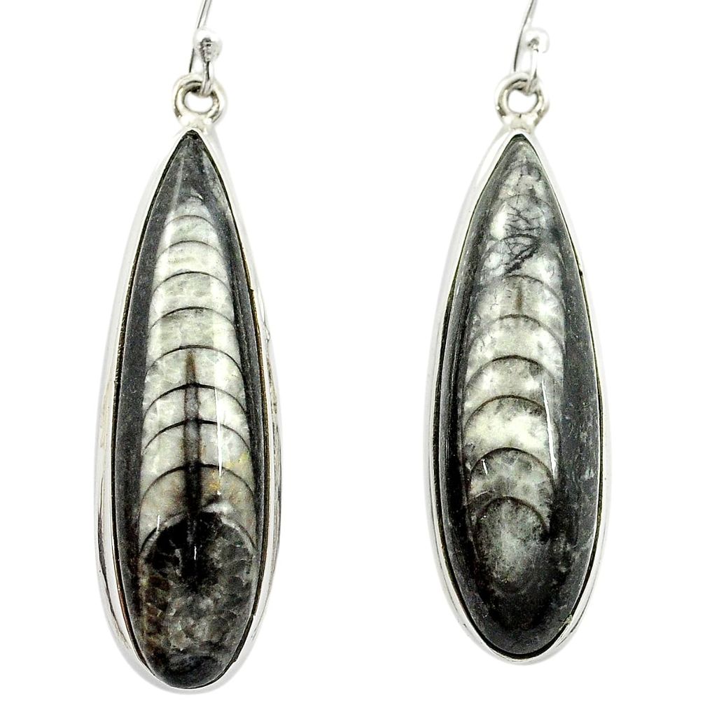 Natural black orthoceras 925 sterling silver dangle earrings m53357