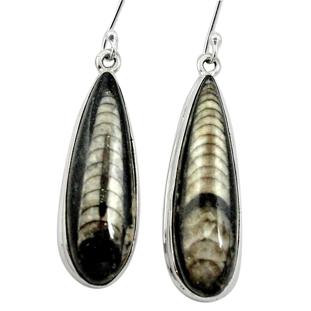 Natural black orthoceras 925 sterling silver dangle earrings m61777