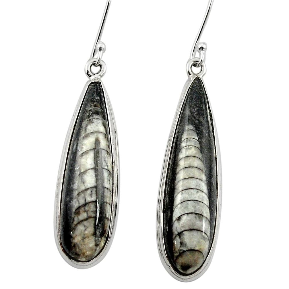 925 sterling silver natural black orthoceras dangle earrings jewelry m61779
